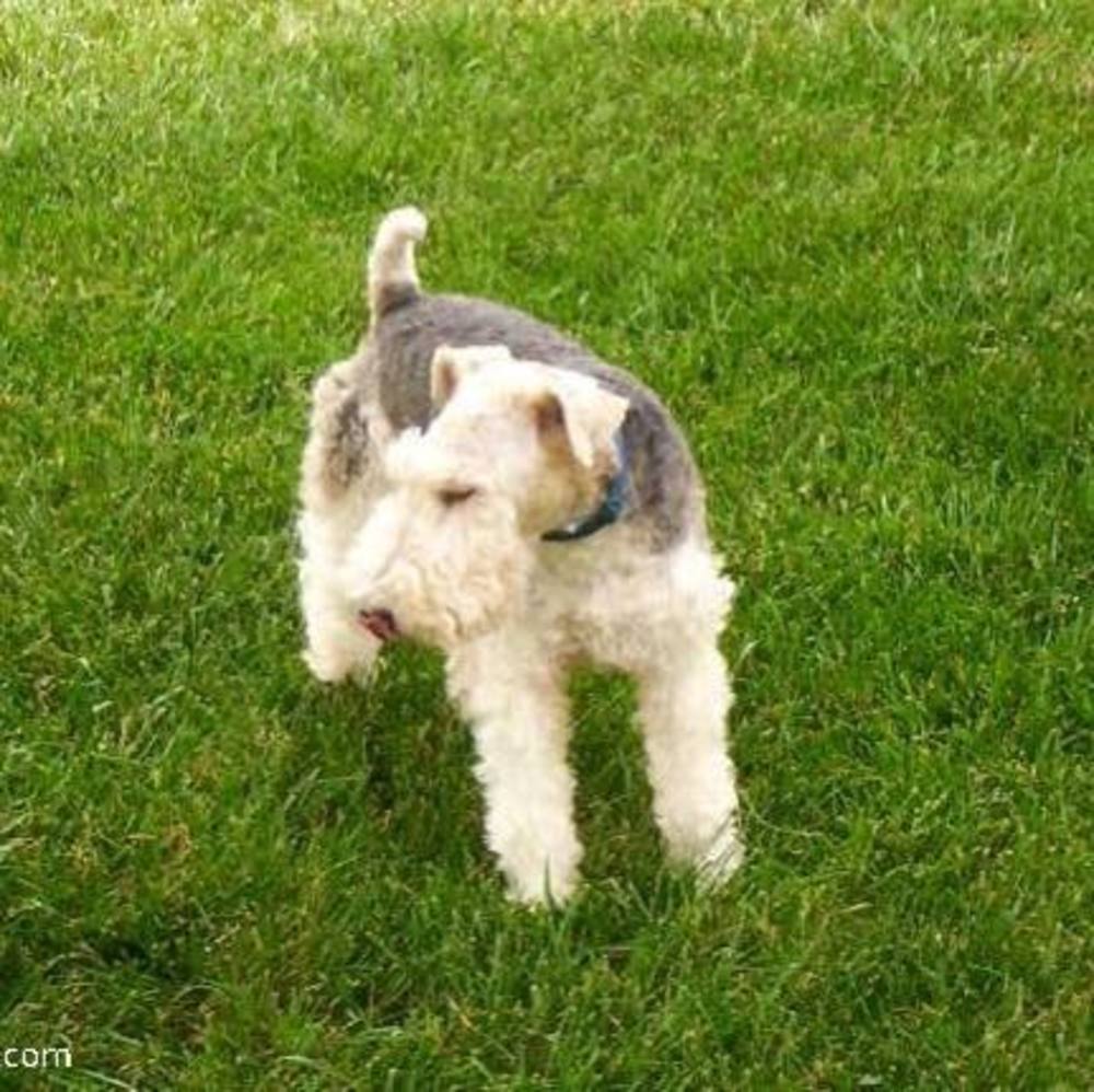 Meet your Posher, Alan